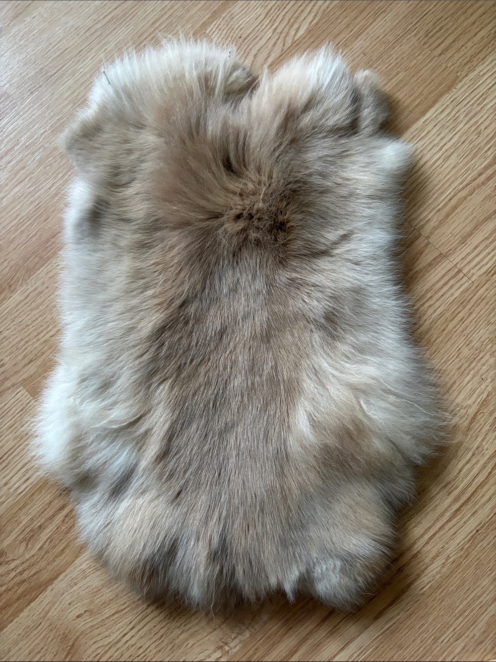 B0246 rabbit pelt